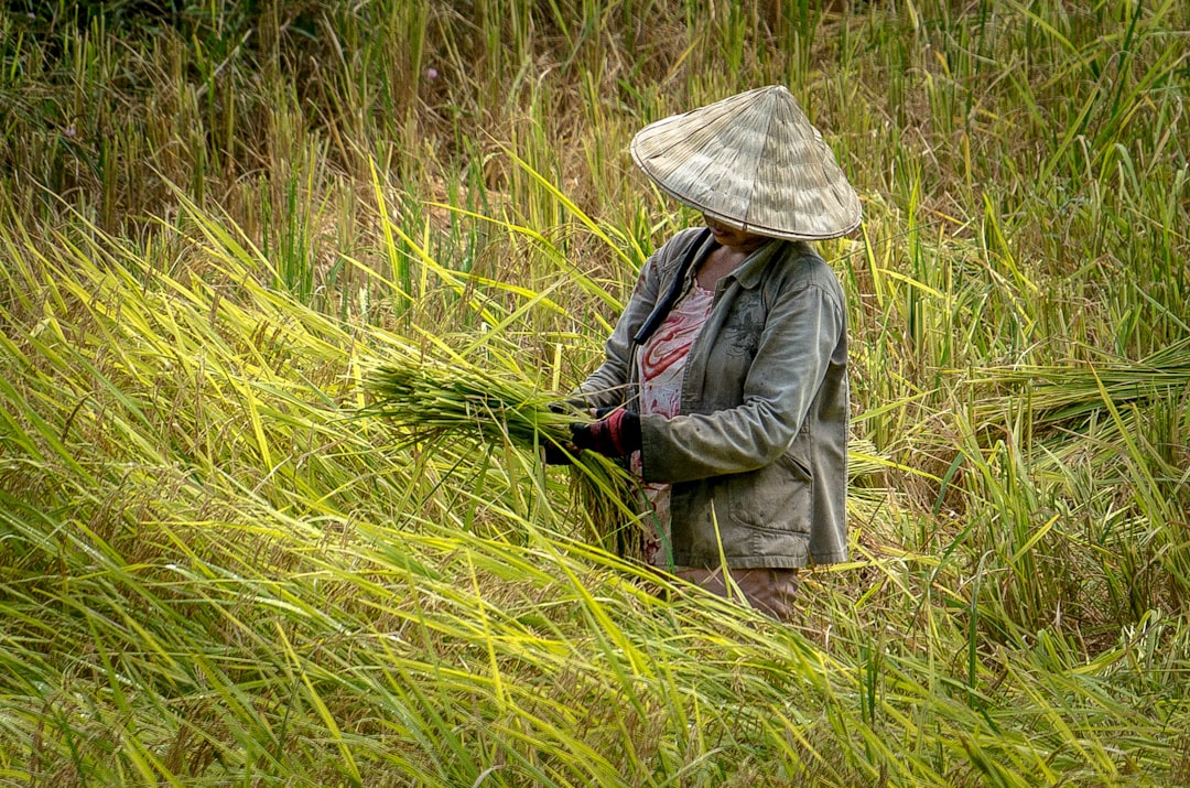 Embracing the Call of the Wild: A Journey to Self-Discovery